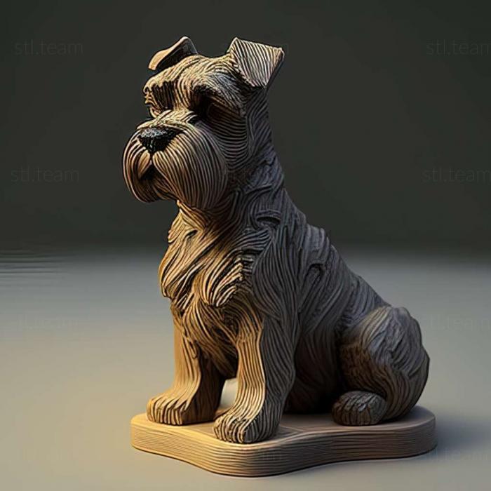 Zwergschnauzer dog